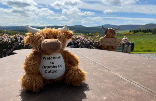 Drumhead Cottage Finzean, Banchory Aberdeenshire Self Catering with Hot Tub - Foto 31