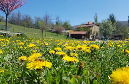 Agriturismo Fattoria Ca Di Sole - Photo 37