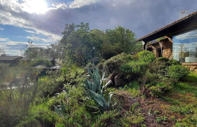 Apartamentos El Roble - Foto 11