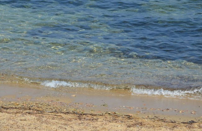 Prat-bourdin no. 18 Hameau des Claudins - Foto 10