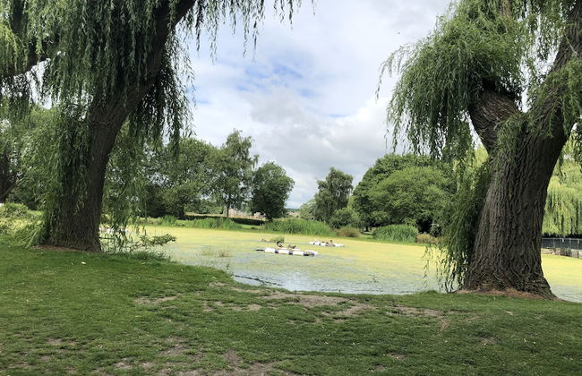 Superb Apartment With Sky Glass TV and Netflix - Foto 36