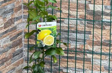 Sofiamarholidays O Cantinho da Avó Bina - Foto 61