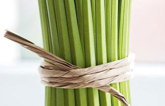 Ferienwohnung Ruraue - Foto 28