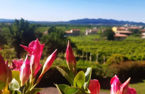 Ca dei Giari - Foto 8