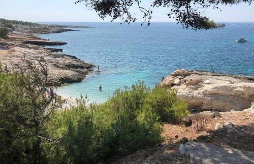 Appart-villa Les 2 pins - Foto 26