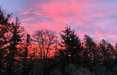 Domaine des Quatre Vents - Foto 22