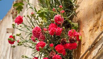 My Villa Dafni - Foto 4