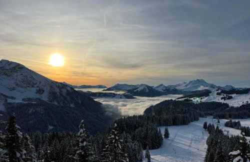 Avoriaz - Portes du Soleil : Aux pieds des pistes - Foto 16