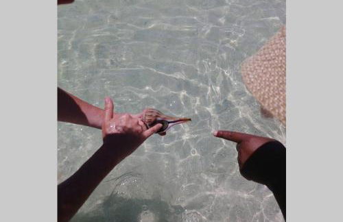 Luxury Beach Condo Located On The Bay In A Tropical Oasis!!! - Foto 41