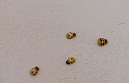 Casa Vacanze Callegari - Foto 30