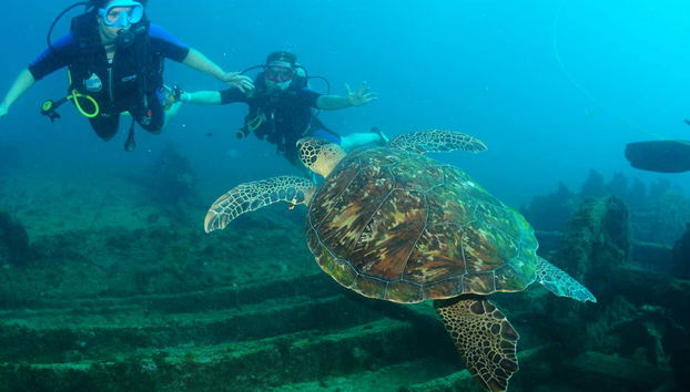 Beginners' Scuba Diving Lesson in Praia do Porto - Foto 2
