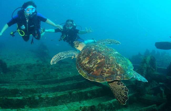 Beginners' Scuba Diving Lesson in Praia do Porto - Foto 2