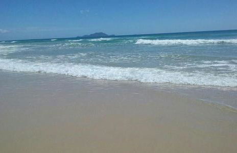 LINDO Apto beira mar praia Ingleses - Photo 19