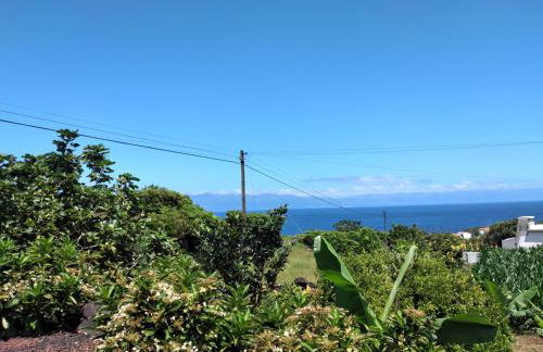 Casa da Lavadia - Photo 33