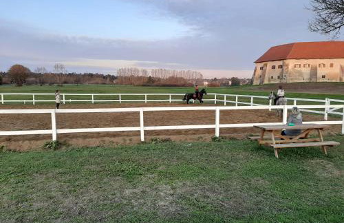 Farmica, Bed&Breakfast, Bazen izdvojen nekoliko minuta hoda - Foto 20