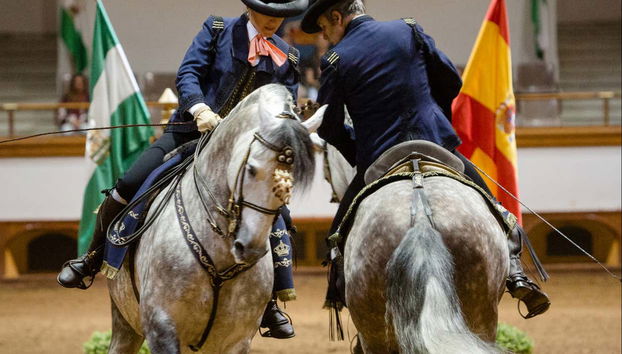 Enjoying the horse show