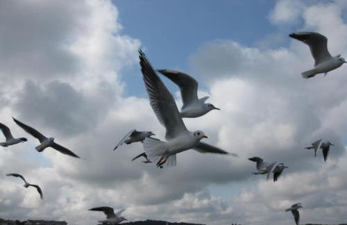 Apartmenthaus Aurum - Foto 17