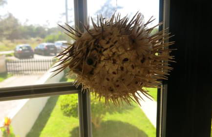 Casa Praia e Ria - Foto 35