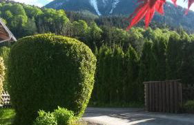 Ferienwohnung Haus Sonja - Foto 16