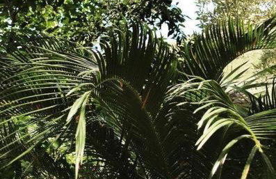 Faros oasis - Foto 57