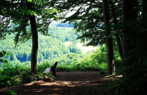 Living in Nature - Foto 31