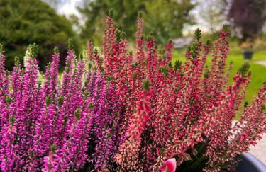 Charmante Doppelhaushälfte mit geräumiger Wohnung und Sonnenterrasse in Wiehl - Foto 21