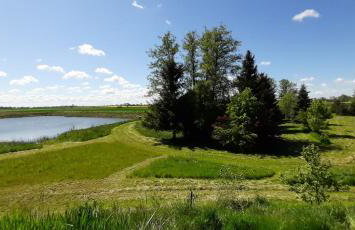 Orzechowy Dworek - Foto 29