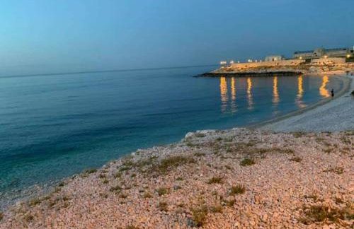 Villa swamy - Photo 8