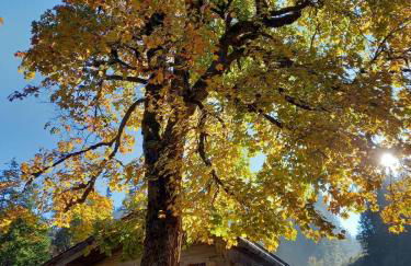 Ferienwohnungen Nagel, Kreuth-Enterbach - Foto 8