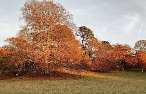 Snowdonia Stone Cottage - Photo 36