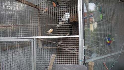 Zimmervermietung am Teutoburger Wald - Foto 5