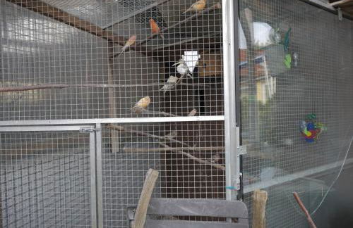 Zimmervermietung am Teutoburger Wald - Foto 5