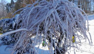 Ferienwohnung Inauen s Kiek in - Photo 2