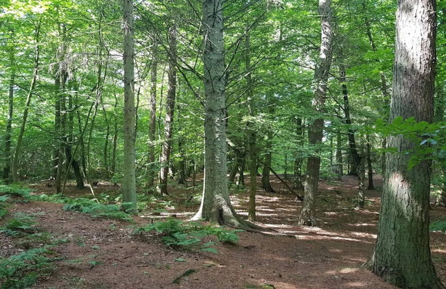 4 Star Holiday Home in Thisted - Foto 14