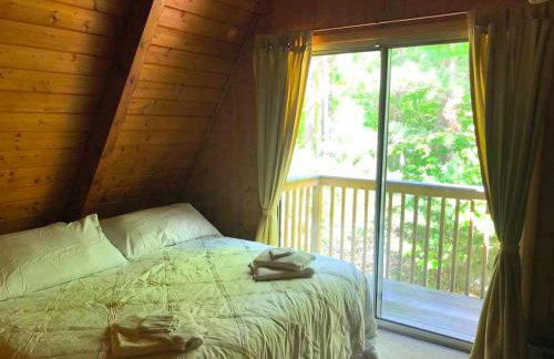 Dog-Friendly Chalet Rental near Whiteface Mountain and Lake Placid, New York - Foto 12