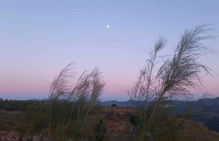 Dehesilla Olive Orchard Retreat - Foto 66