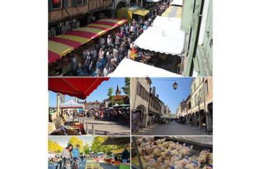 Gîte la tourterelle - Foto 63