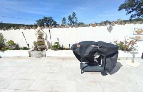 Quinta Azul - Foto 60