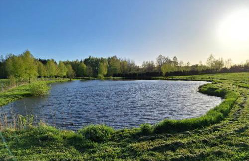 Caloroczny domek letniskowy ze stawem - Foto 24