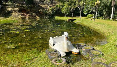 Sítio Recanto dos Lagos piscina sauna e churrasqueira - Foto 5
