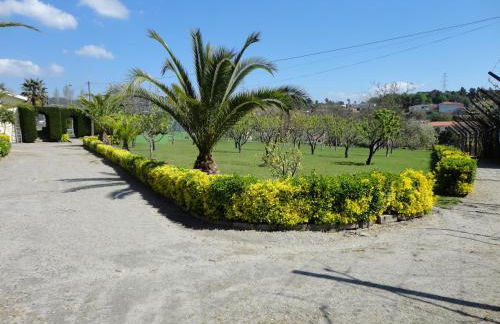 Agroturismo Quinta Dom José - Foto 40