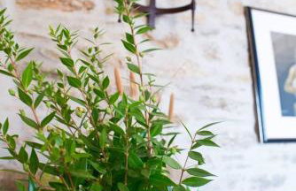 Agrilos Sea View House - Foto 18