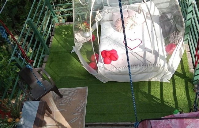 Green Jungle House - Photo 7