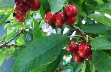 Charming Villa in Resende with Private Pool - Foto 38