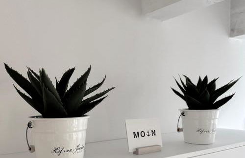 Van Senden 4 Fenja - Photo 9