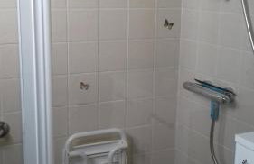 morel - Foto 3