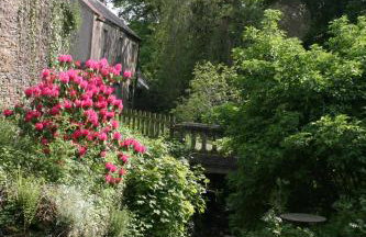 Swansea Valley Holiday Cottages - Foto 85