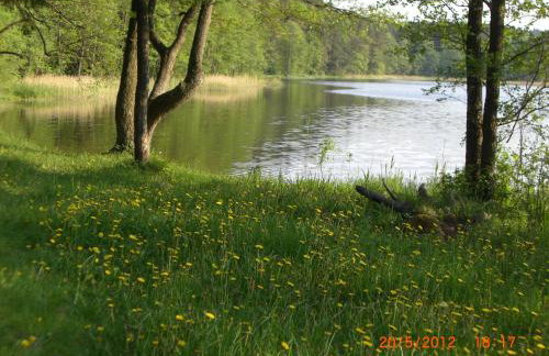 Domek Moczykija - Foto 26