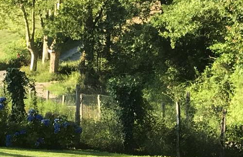 Maison Amalur - Foto 19