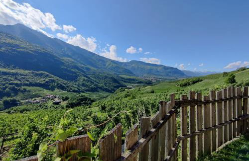 Bio Agritur al Bait - Foto 8